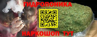 apvp Кинель