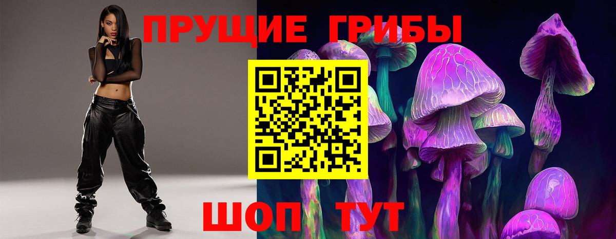 купить  сайты  Вход с VPN  Бутурлиновка  Псилоцибиновые грибы мухоморы 